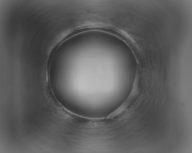 X0000073901269200608251448