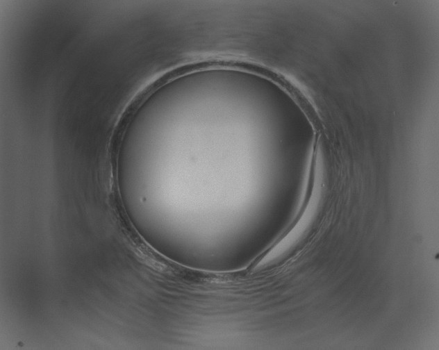 X0000073901271200608251448