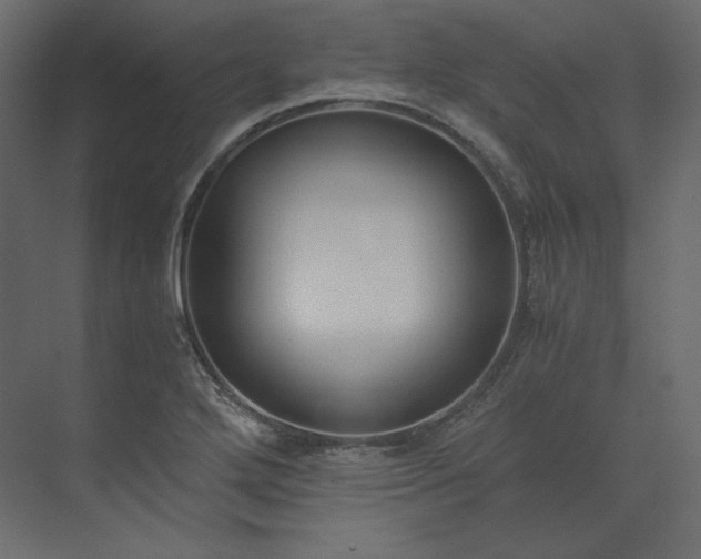 X0000073901272200608251448