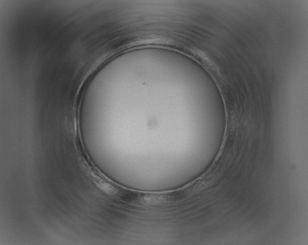 X0000073901274200608251448