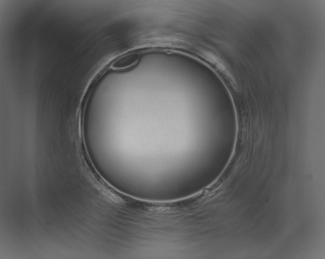 X0000073901275200608251448