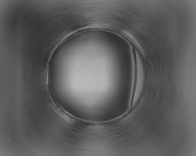 X0000073901276200608251448