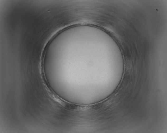 X0000073901278200608251448