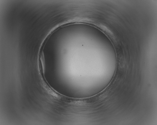 X0000073901280200608251448