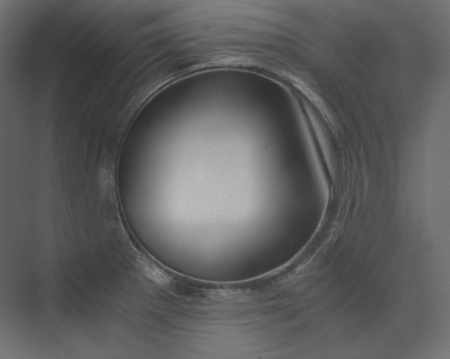 X0000073901281200608251448