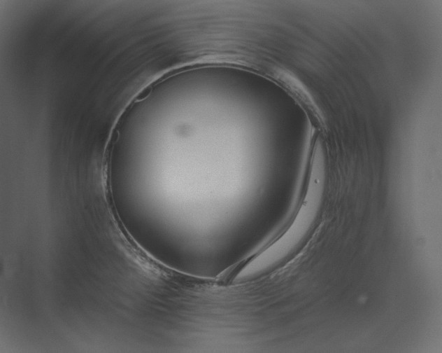 X0000073901284200608251448