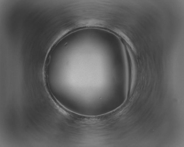 X0000073901285200608251448