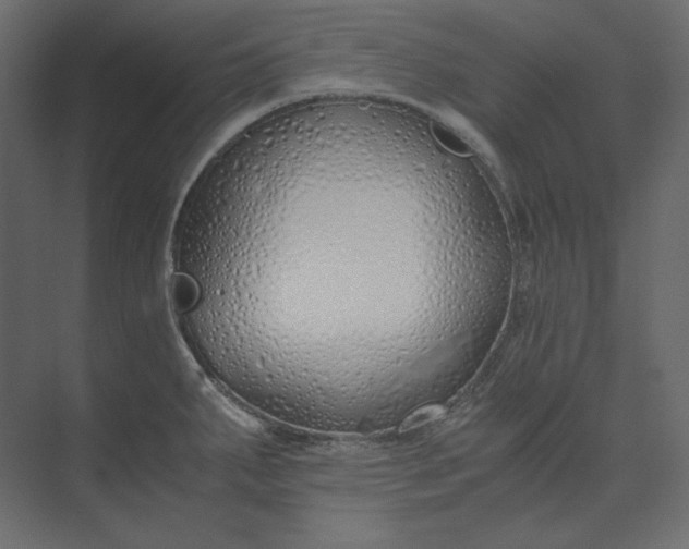 X0000073901287200608251448