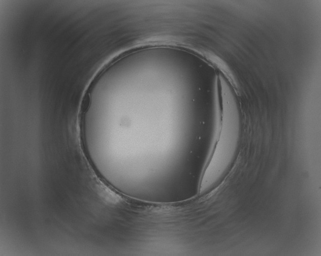 X0000073901288200608251447