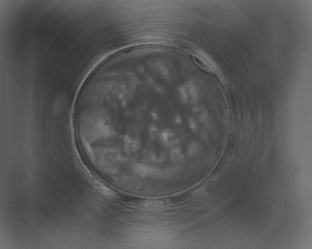 X0000073901291200608251447