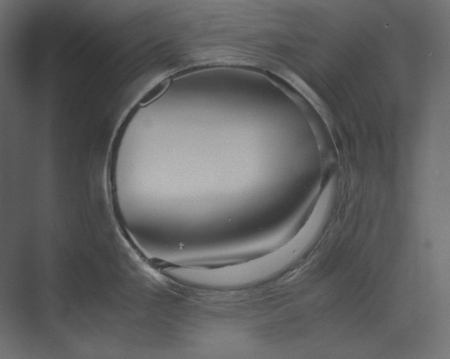 X0000073901293200608251447