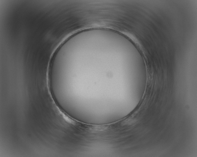 X0000073901294200608251447