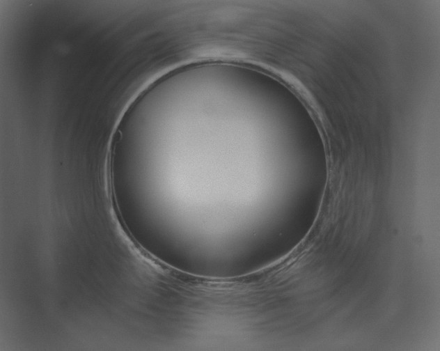 X0000073901295200608251447