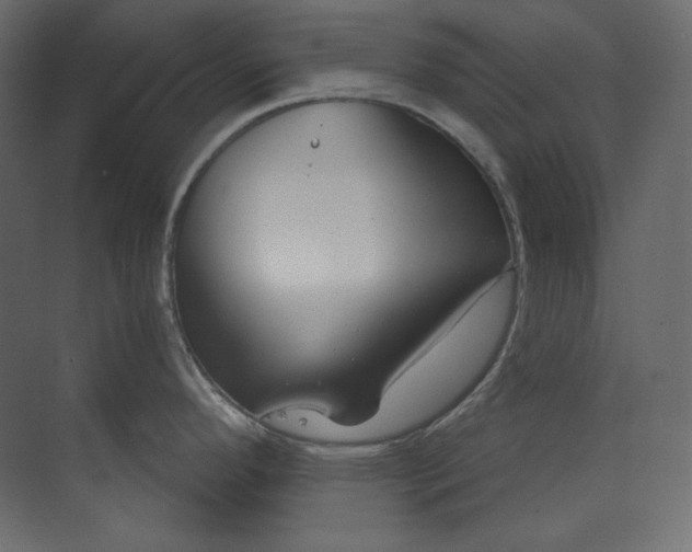 X0000073901296200608251447