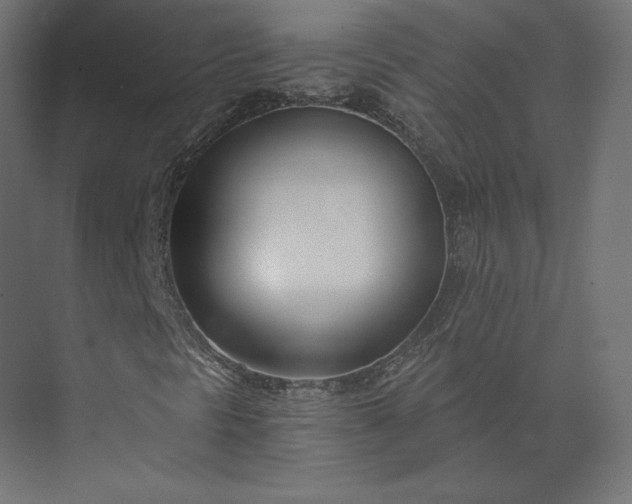 X0000073901297200608251447