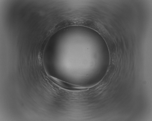 X0000073901298200608251447