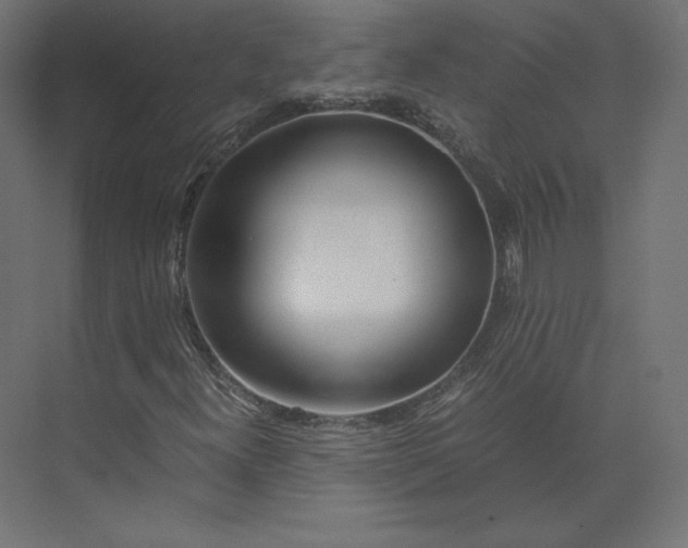 X0000073901300200608251447