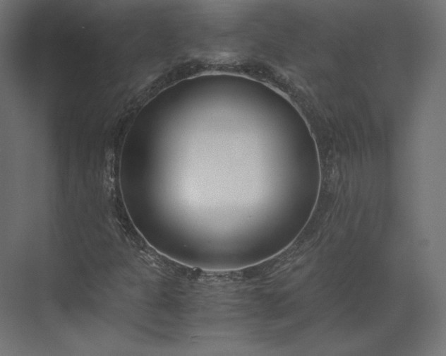 X0000073901301200608251447