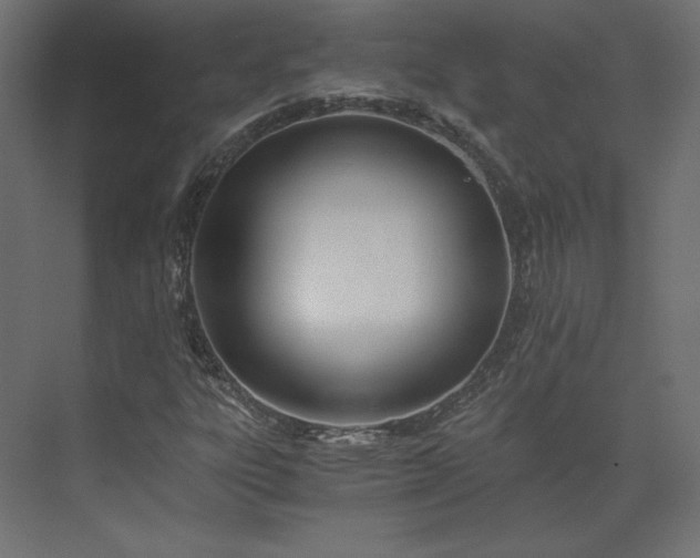 X0000073901303200608251447