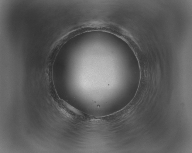 X0000073901304200608251447