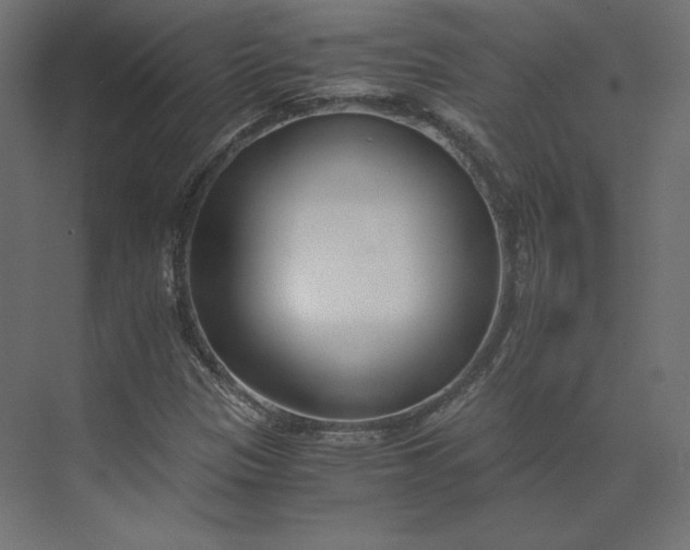 X0000073901305200608251447