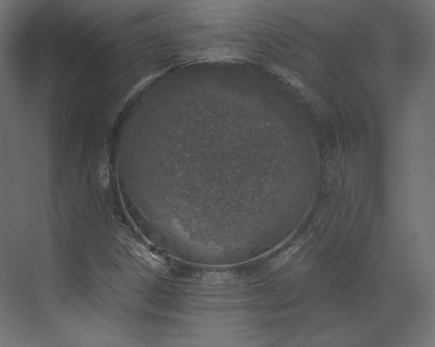 X0000073901306200608251447