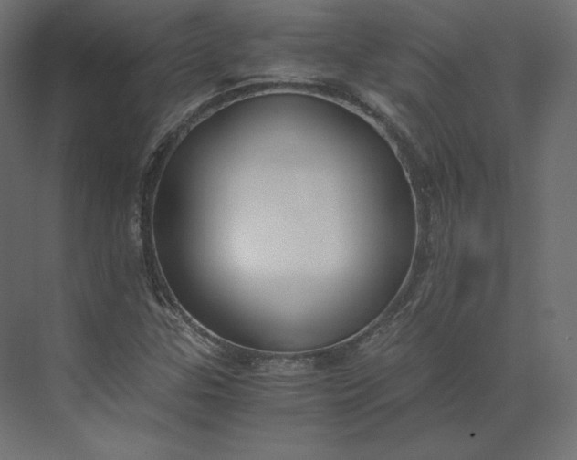 X0000073901307200608251447