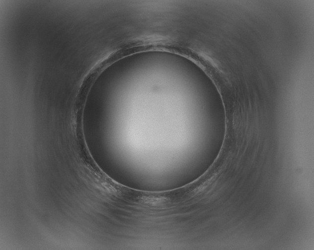 X0000073901309200608251447