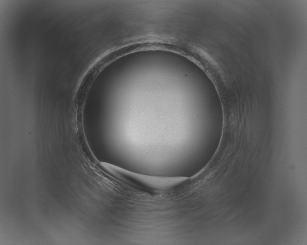 X0000073901310200608251447