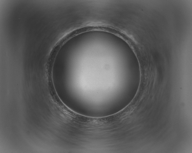 X0000073901311200608251447