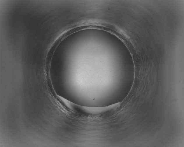 X0000073901312200608251447