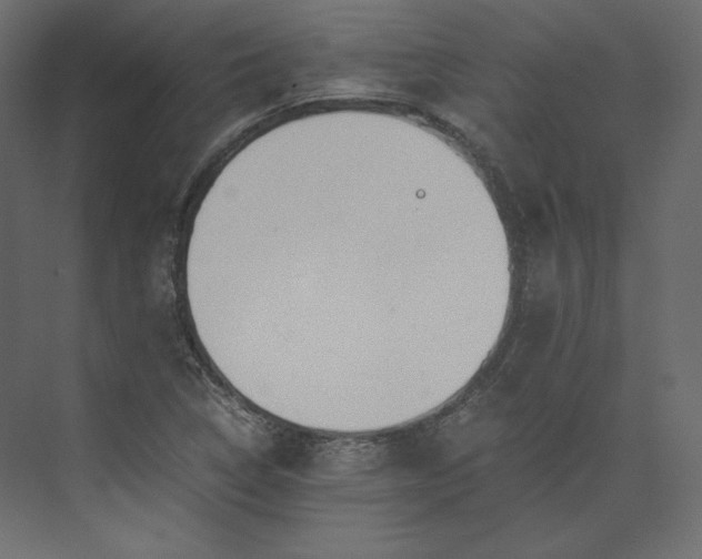 X0000073901314200608251447