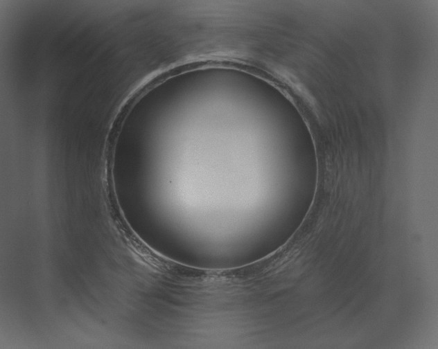 X0000073901316200608251447