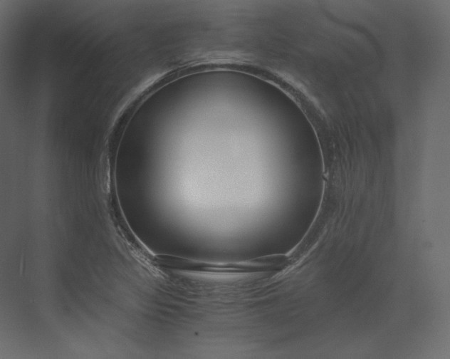 X0000073901317200608251447