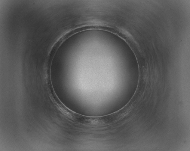 X0000073901318200608251447