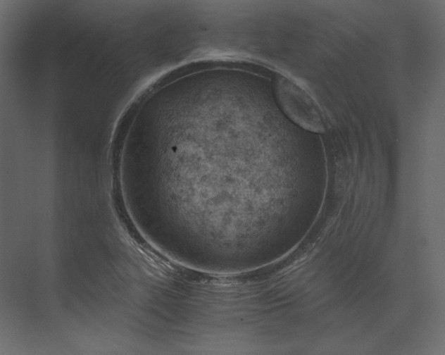 X0000073901319200608251447