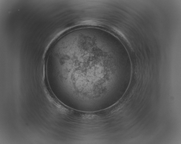 X0000073901323200608251447