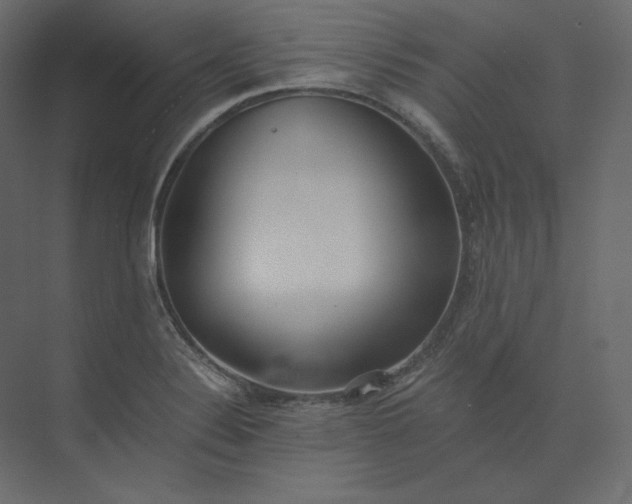 X0000073901324200608251447