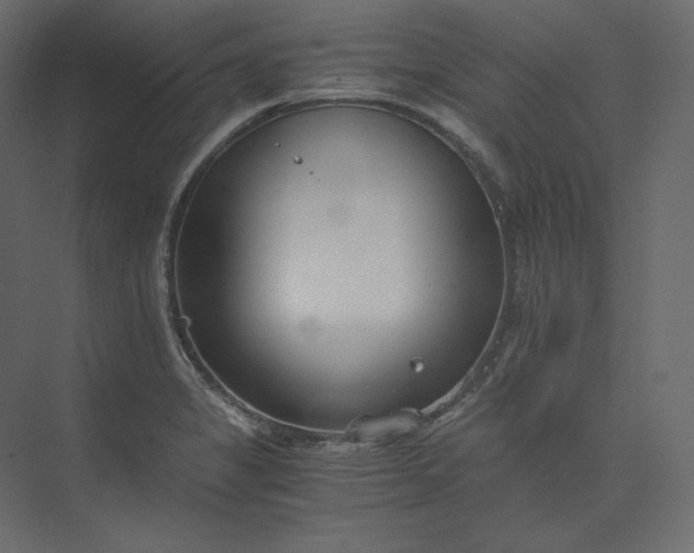 X0000073901325200608251447