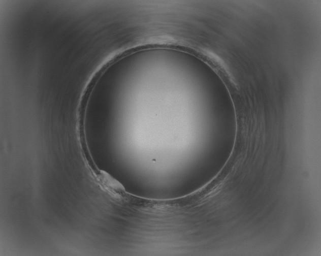 X0000073901326200608251447