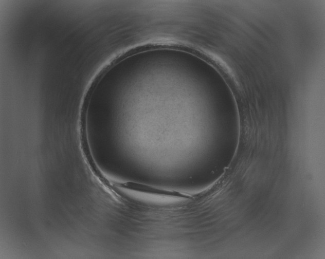 X0000073901327200608251447