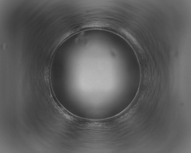 X0000073901329200608251447