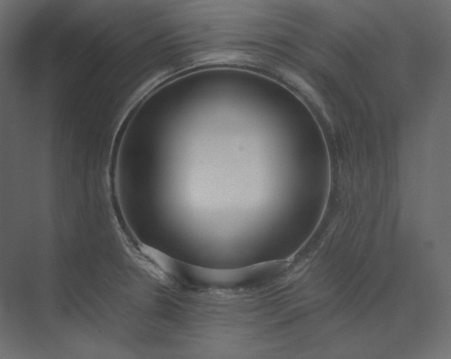 X0000073901330200608251447