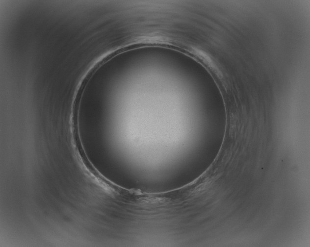 X0000073901331200608251447