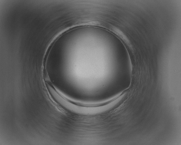 X0000073901332200608251447