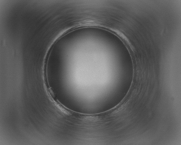 X0000073901333200608251447