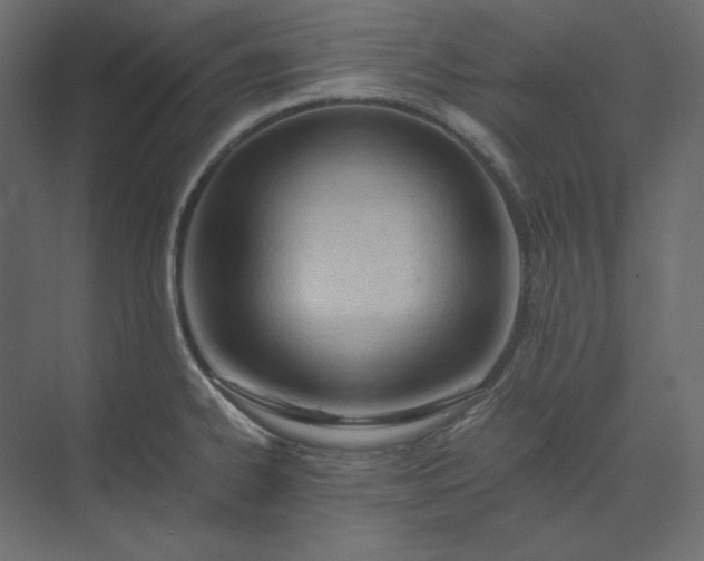 X0000073901334200608251447