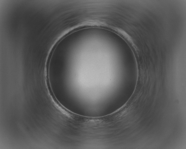 X0000073901335200608251447