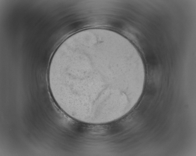 X0000073901338200608251447