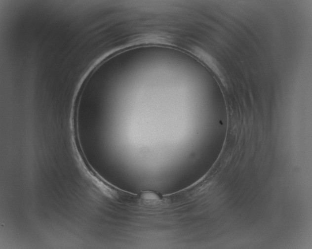 X0000073901339200608251447